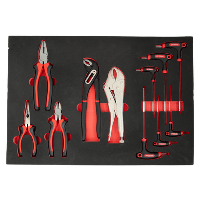 TECHTOOLS Werkzeugwagen (201-teilig) - Zangen